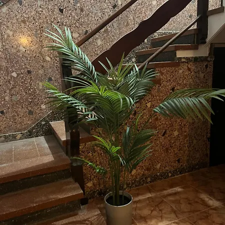 Sunny Paraiso Canario Las Palmas de Gran Canaria